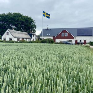 GA sommar miljö