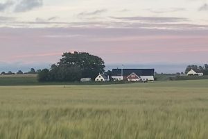 gardsateljen-osterlen-skymning Gårdsateljén Österlen med vacker kvällshimmel över gården.